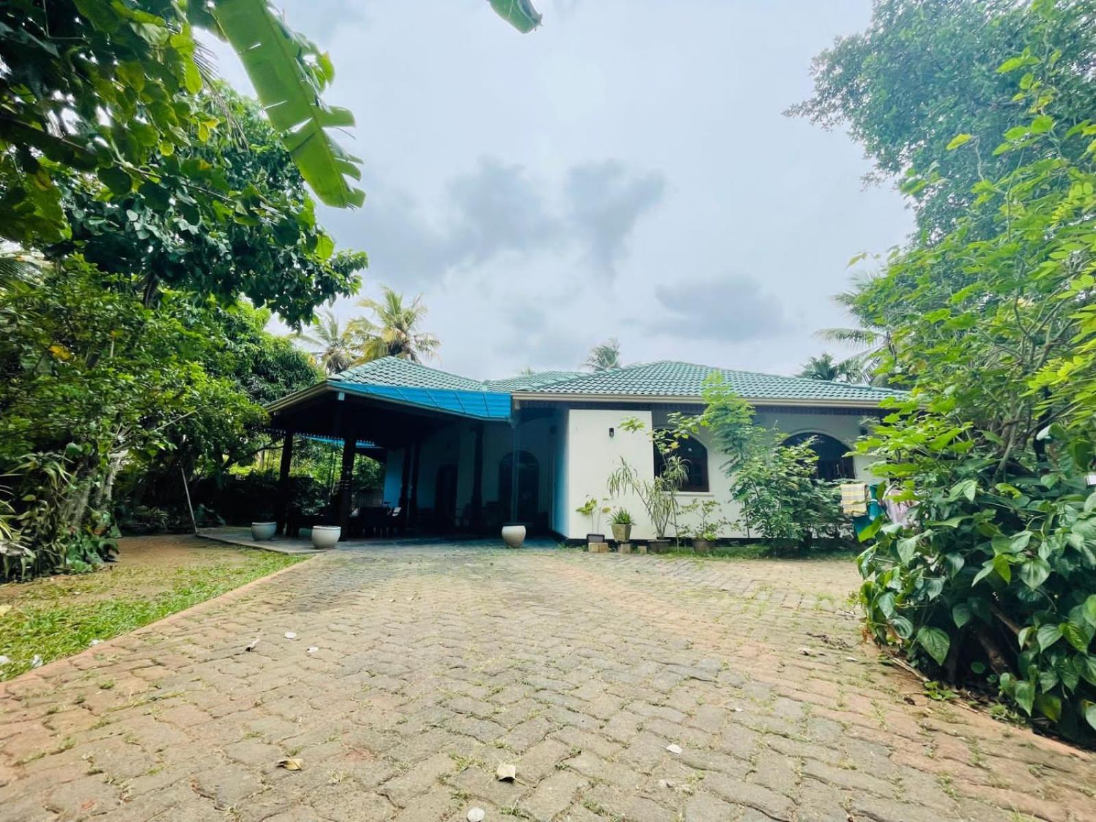 Langama Thena - ළඟම තැන Hotell Anuradhapura Eksteriør bilde